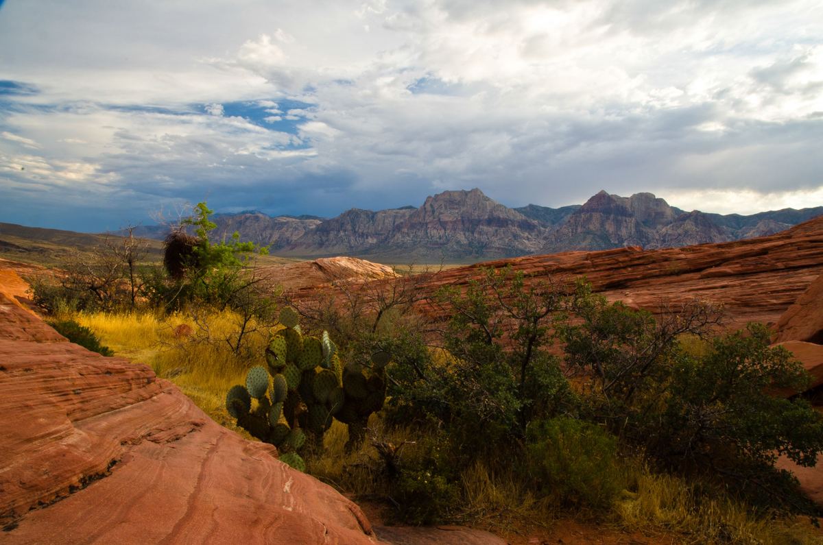 Red sandstone slopes and a prickly pear cactus in the foreground, with green shrubs and rocky mountains beneath a cloudy sky.
